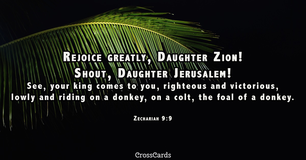 What is the prophetic message of zechariah 9 9 17