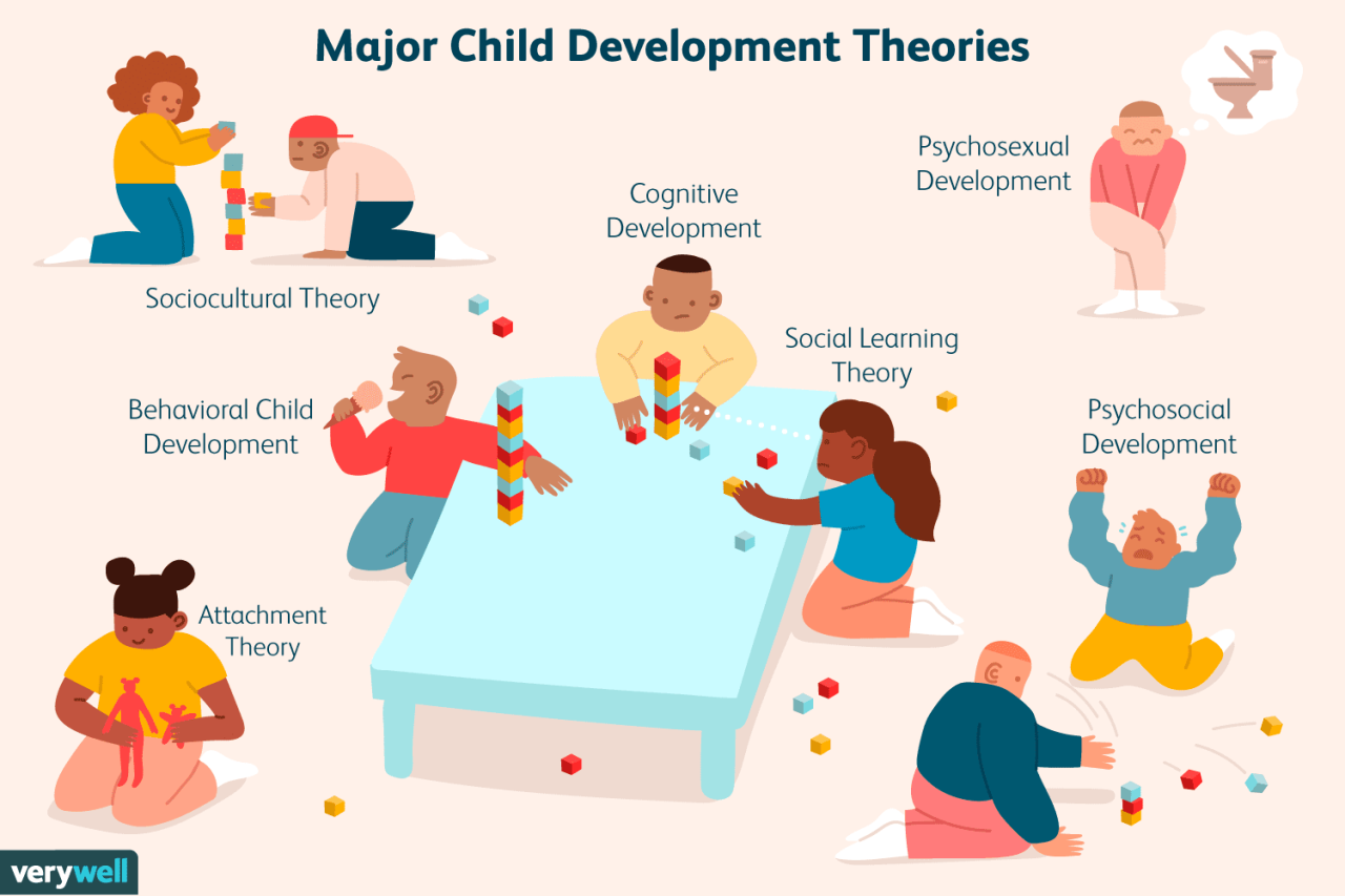 Hosa human growth and development practice test