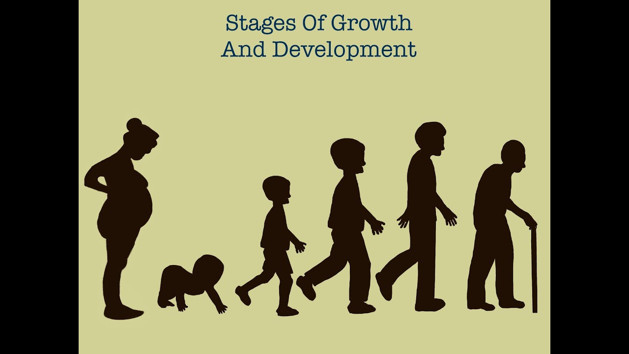 Hosa human growth and development practice test